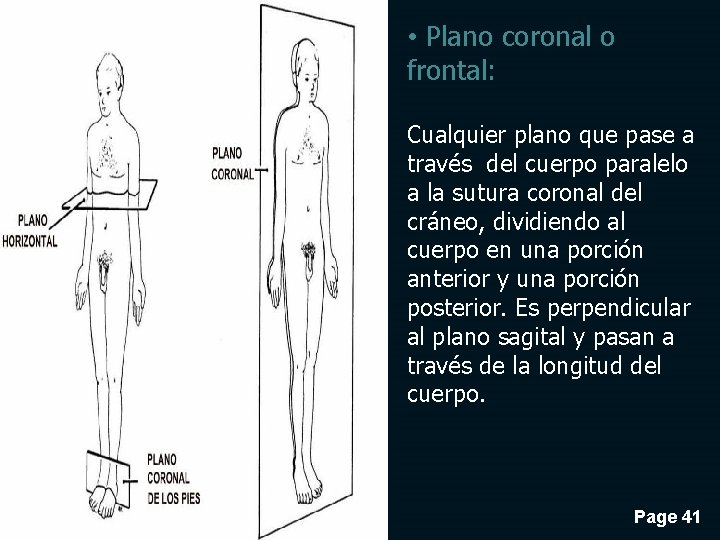  • Plano coronal o frontal: Cualquier plano que pase a través del cuerpo