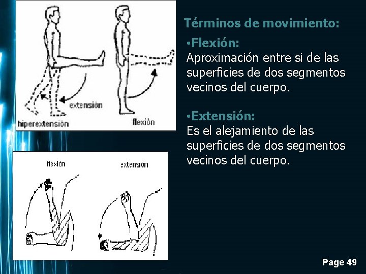 Términos de movimiento: • Flexión: Aproximación entre si de las superficies de dos segmentos