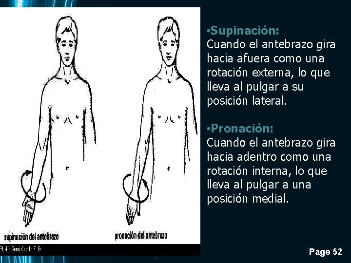  • Supinación: Cuando el antebrazo gira hacia afuera como una rotación externa, lo