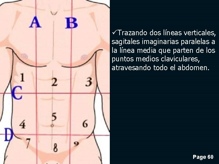 üTrazando dos líneas verticales, sagitales imaginarias paralelas a la línea media que parten de