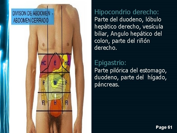 Hipocondrio derecho: Parte del duodeno, lóbulo hepático derecho, vesícula biliar, Angulo hepático del colon,