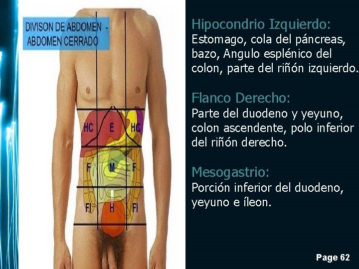 Hipocondrio Izquierdo: Estomago, cola del páncreas, bazo, Angulo esplénico del colon, parte del riñón