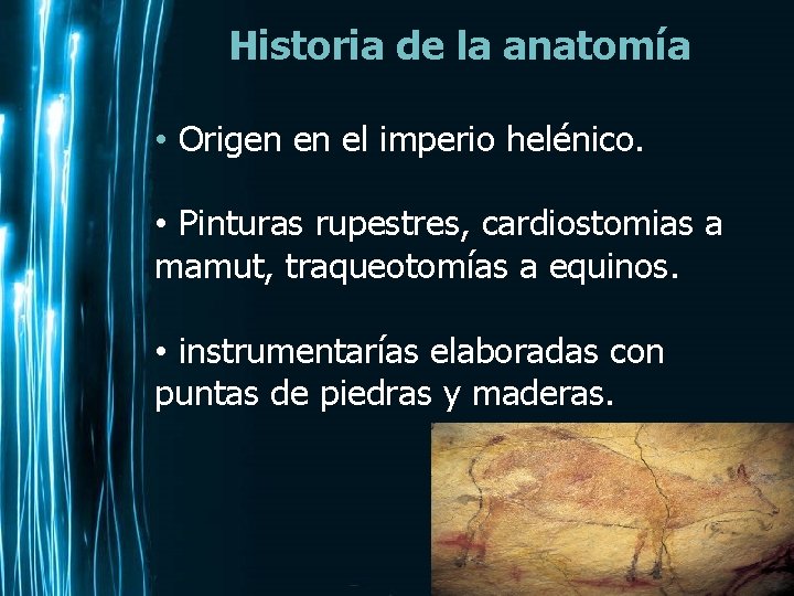 Historia de la anatomía • Origen en el imperio helénico. • Pinturas rupestres, cardiostomias