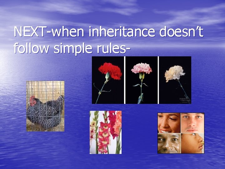 NEXT-when inheritance doesn’t follow simple rules- 