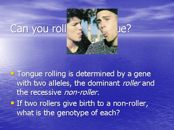 Can you roll your tongue? • Tongue rolling is determined by a gene with
