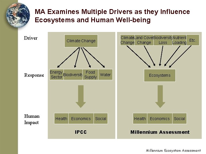 MA Examines Multiple Drivers as they Influence Ecosystems and Human Well-being Driver Response Human