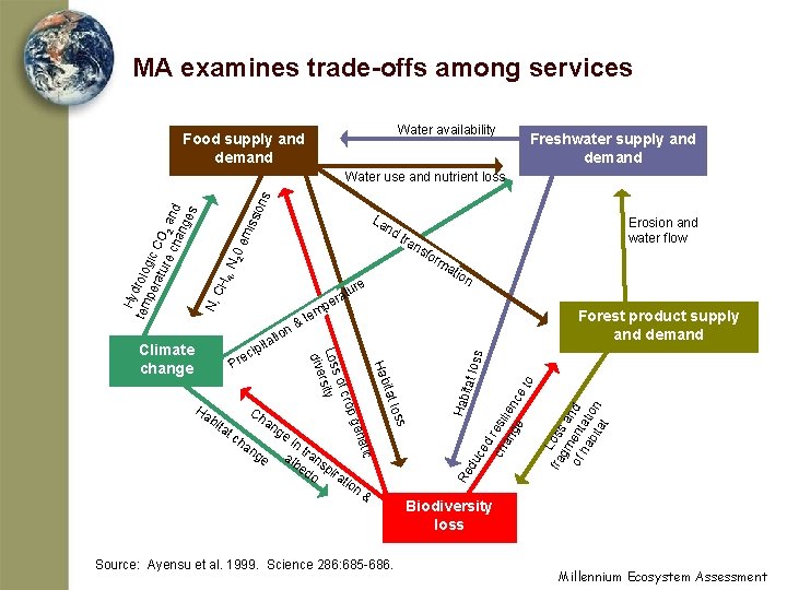 MA examines trade-offs among services Water availability Food supply and demand Freshwater supply and