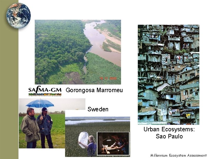 Gorongosa Marromeu Sweden Urban Ecosystems: Sao Paulo Millennium Ecosystem Assessment 