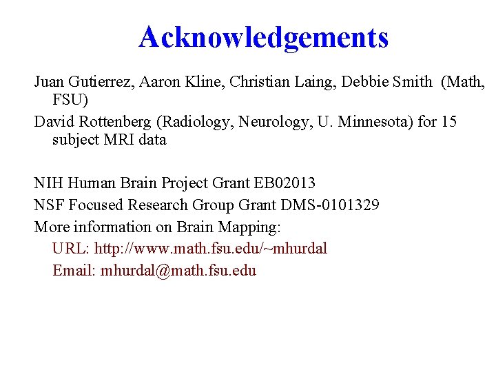 Acknowledgements Juan Gutierrez, Aaron Kline, Christian Laing, Debbie Smith (Math, FSU) David Rottenberg (Radiology,