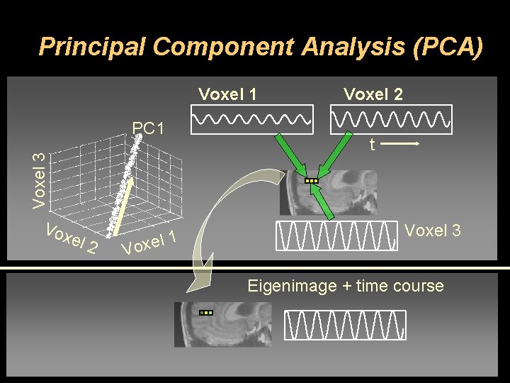 Principal Component Analysis (PCA) Voxel 1 Voxel 3 PC 1 Vox el 2 1