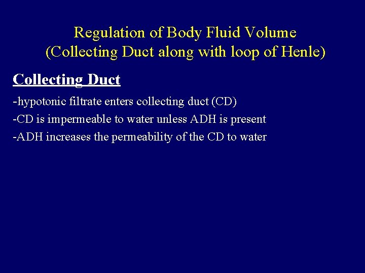 Regulation of Body Fluid Volume (Collecting Duct along with loop of Henle) Collecting Duct