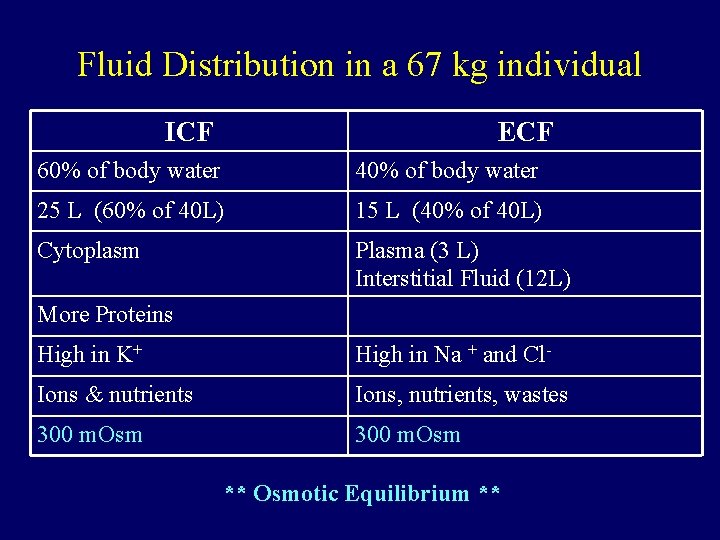 Fluid Distribution in a 67 kg individual ICF ECF 60% of body water 40%