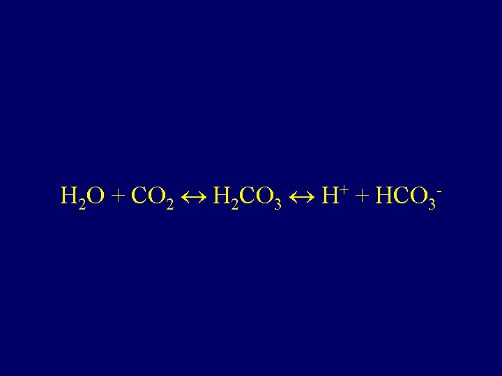 H 2 O + CO 2 H 2 CO 3 H+ + HCO 3