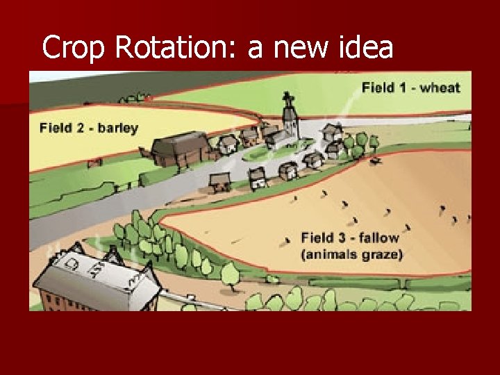 Crop Rotation: a new idea 