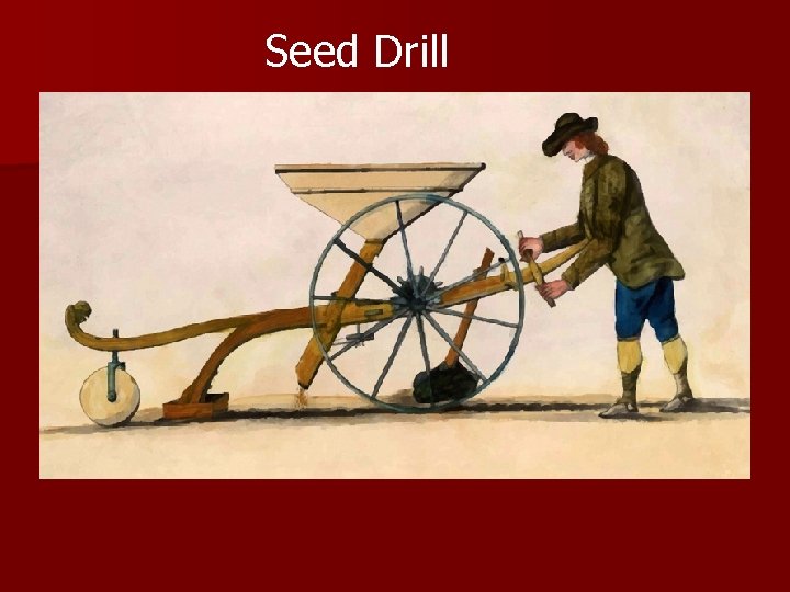 Seed Drill 