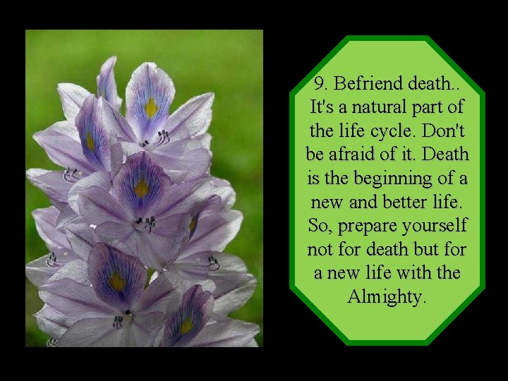 9. Befriend death. . It's a natural part of the life cycle. Don't be