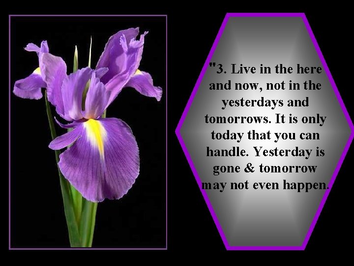 "3. Live in the here and now, not in the yesterdays and tomorrows. It