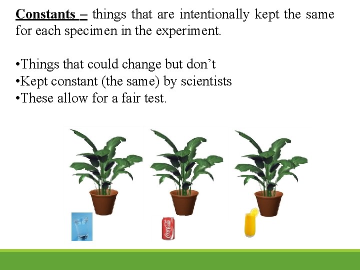 Constants – things that are intentionally kept the same for each specimen in the Constants – things that are intentionally kept the same for each specimen in the