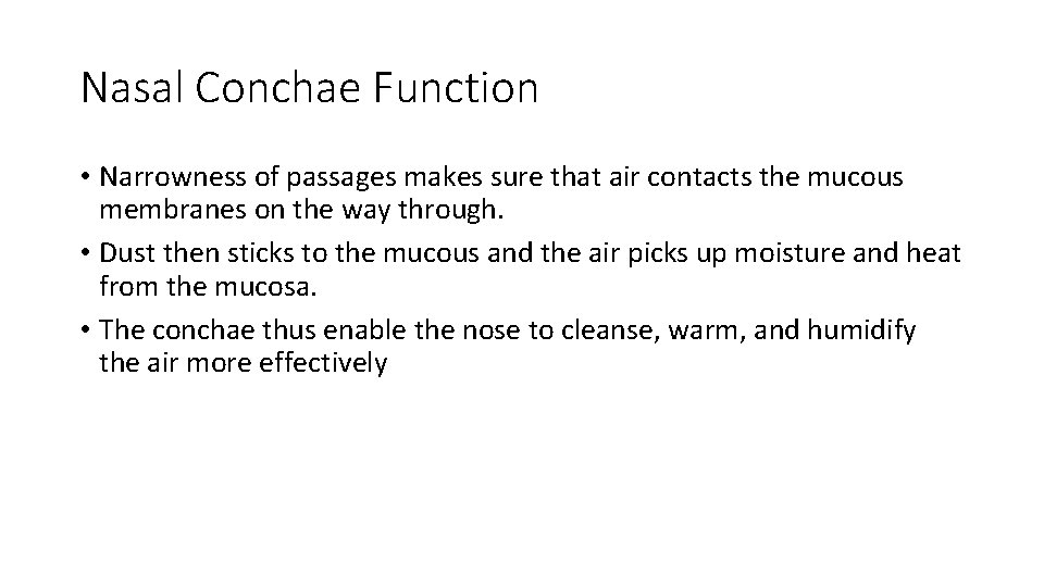 Nasal Conchae Function • Narrowness of passages makes sure that air contacts the mucous