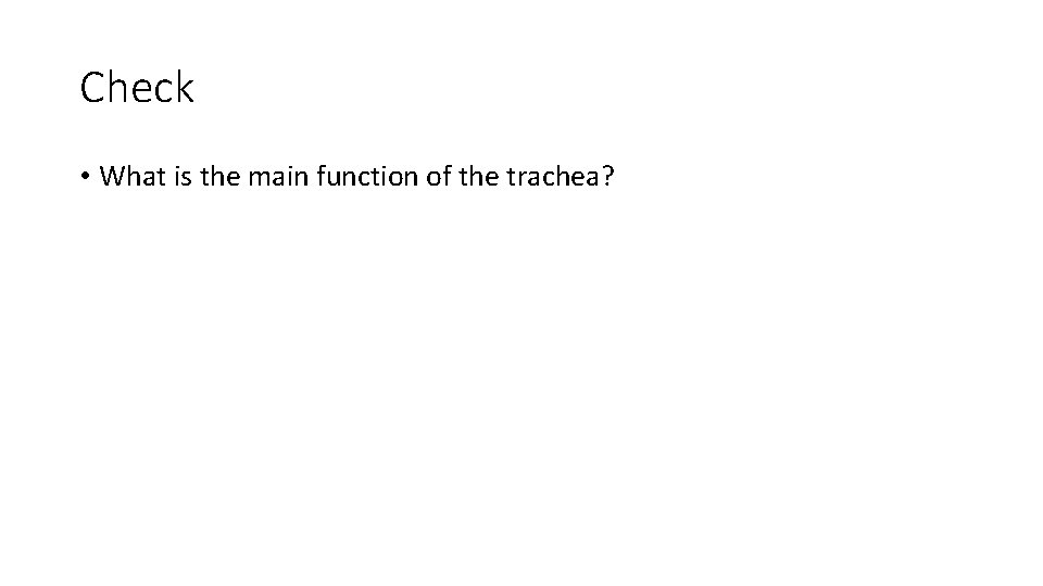 Check • What is the main function of the trachea? 