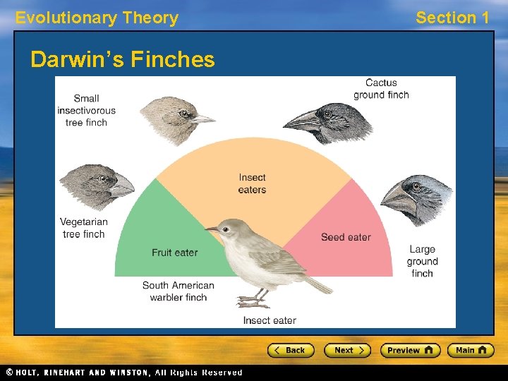 Evolutionary Theory Darwin’s Finches Section 1 