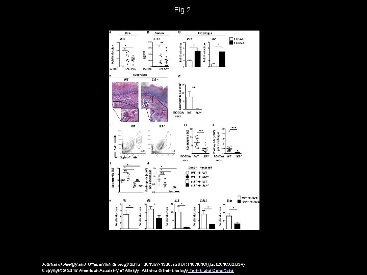 Fig 2 Journal of Allergy and Clinical Immunology 2016 1381367 -1380. e 5 DOI: