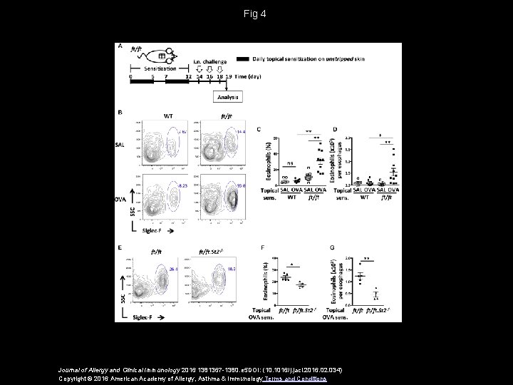 Fig 4 Journal of Allergy and Clinical Immunology 2016 1381367 -1380. e 5 DOI: