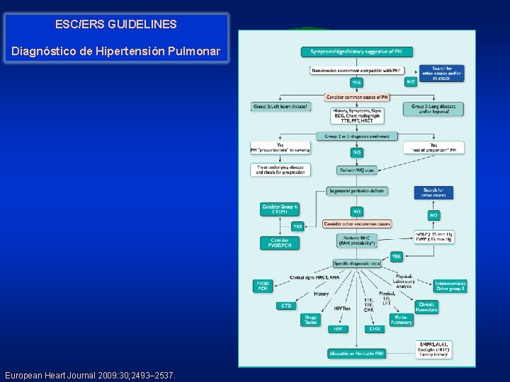 ESC/ERS GUIDELINES Diagnóstico de Hipertensión Pulmonar European Heart Journal 2009: 30; 2493– 2537. Differential