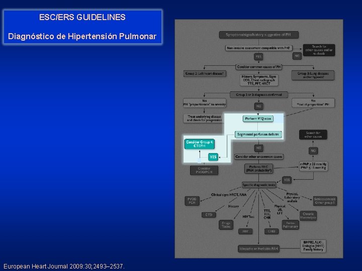 ESC/ERS GUIDELINES Diagnóstico de Hipertensión Pulmonar European Heart Journal 2009: 30; 2493– 2537. Differential