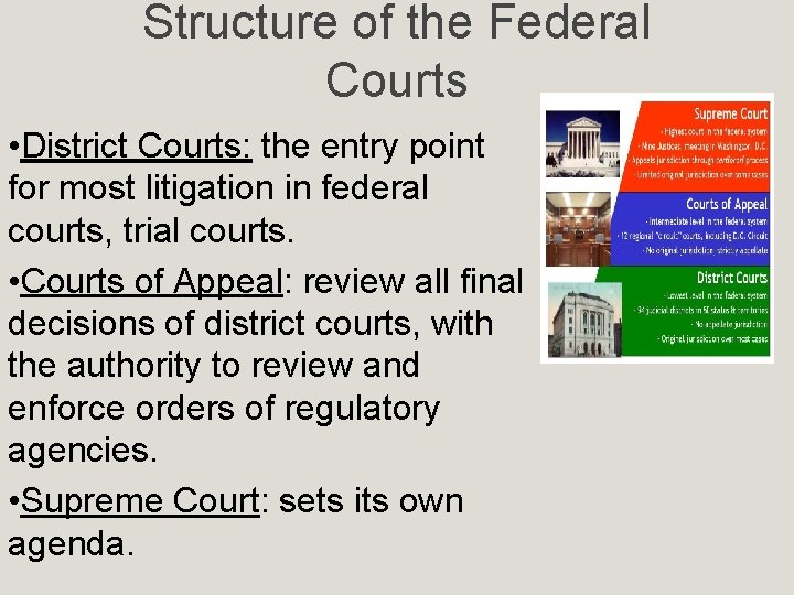 Structure of the Federal Courts • District Courts: the entry point for most litigation