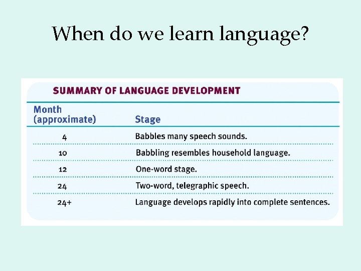 When do we learn language? 