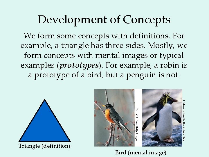 Development of Concepts We form some concepts with definitions. For example, a triangle has