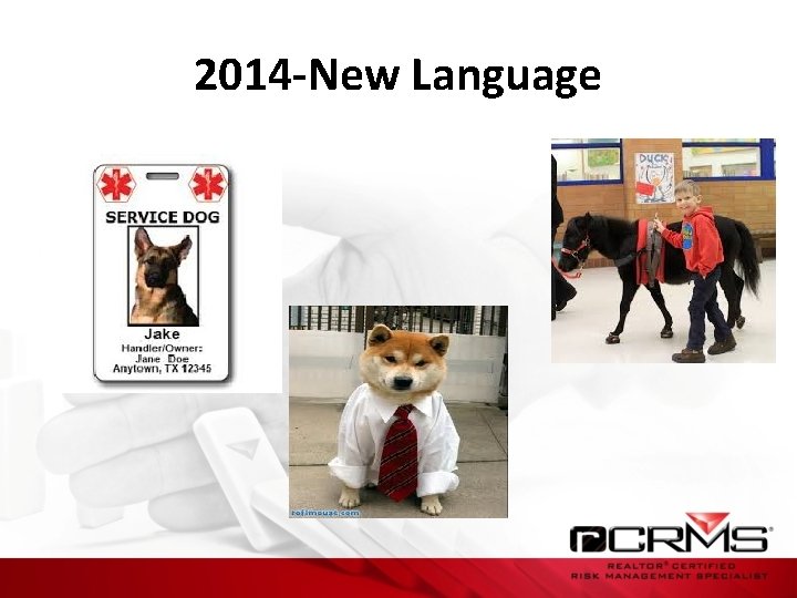 2014 -New Language 