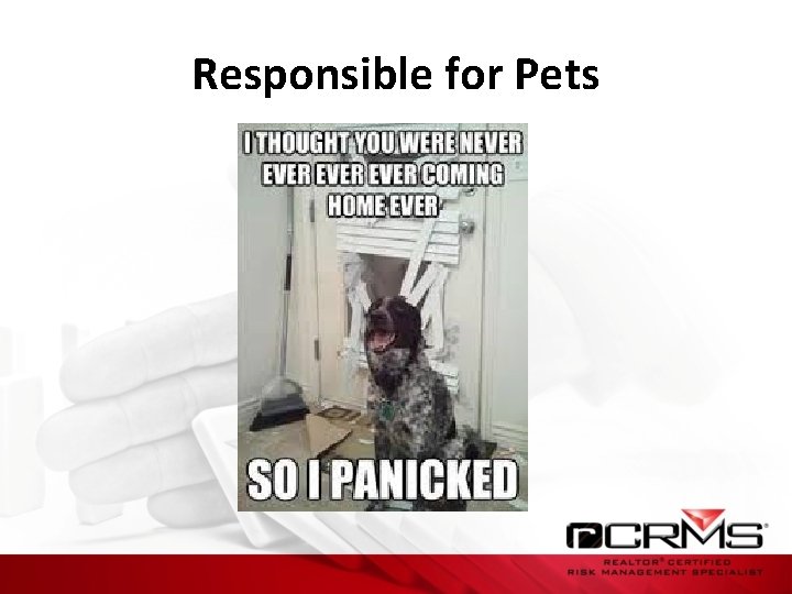 Responsible for Pets 