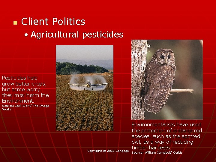 n Client Politics • Agricultural pesticides Pesticides help grow better crops, but some worry