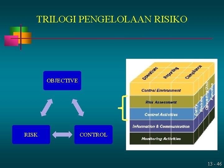 TRILOGI PENGELOLAAN RISIKO OBJECTIVE RISK CONTROL 13 - 46 