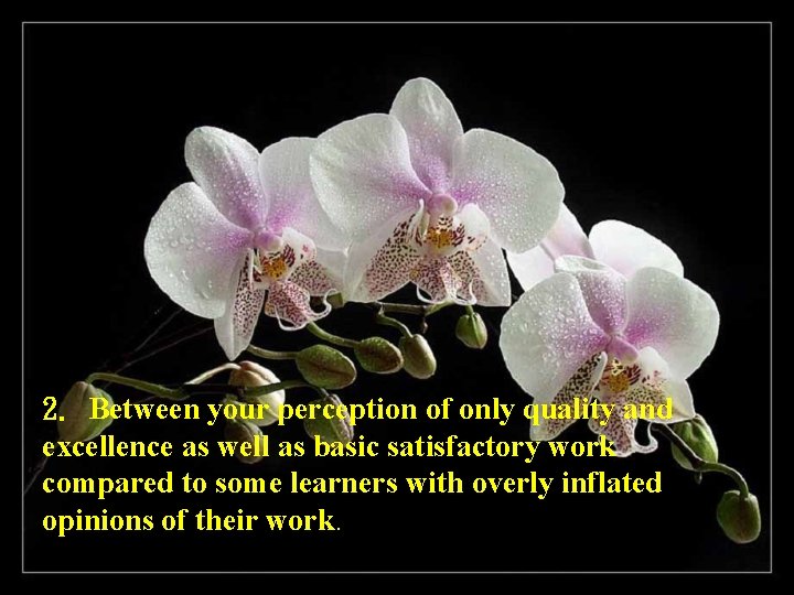 2. Between your perception of only quality and excellence as well as basic satisfactory