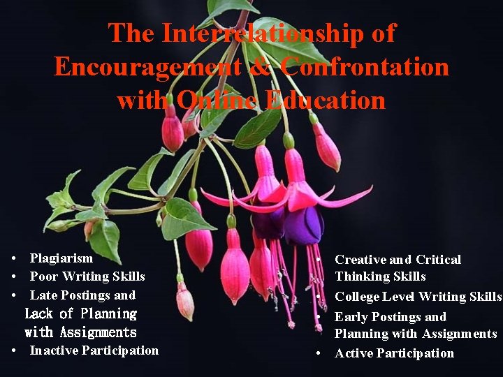 The Interrelationship of Encouragement & Confrontation with Online Education • Plagiarism • Poor Writing