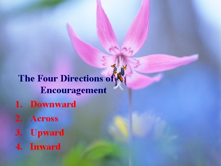 The Four Directions of Encouragement 1. Downward 2. Across 3. Upward 4. Inward 