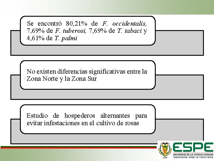 Se encontró 80, 21% de F. occidentalis, 7, 69% de F. tuberosi, 7, 69%