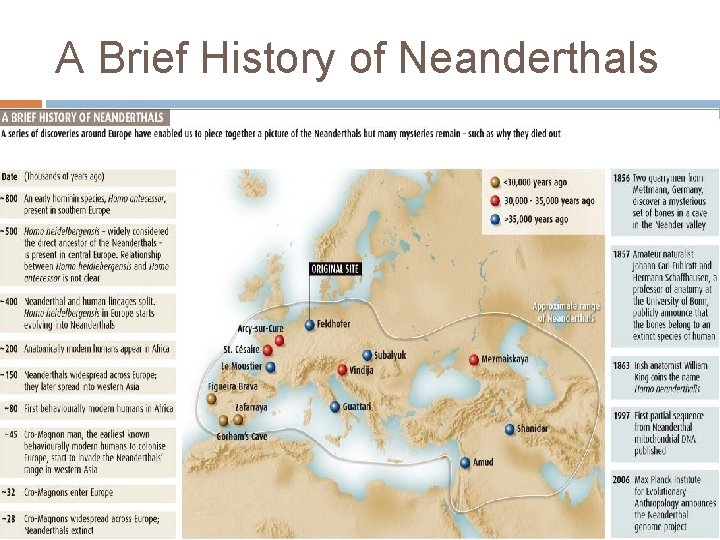 A Brief History of Neanderthals 