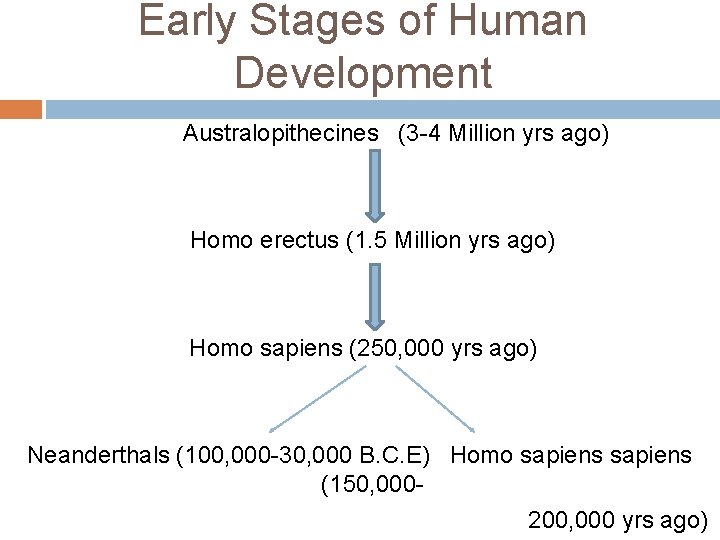 Early Stages of Human Development Australopithecines (3 -4 Million yrs ago) Homo erectus (1.