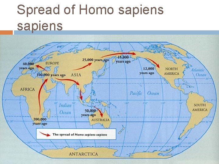 Spread of Homo sapiens 