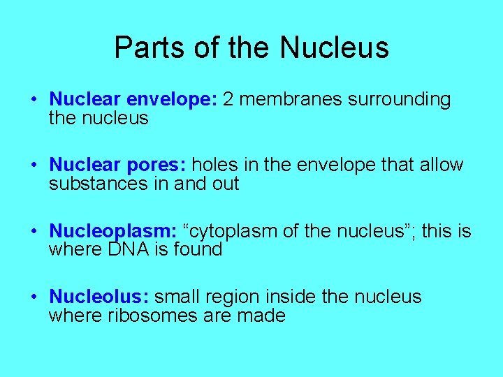 Parts of the Nucleus • Nuclear envelope: 2 membranes surrounding the nucleus • Nuclear