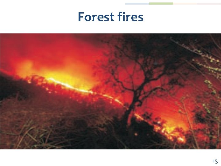 Forest fires 15 