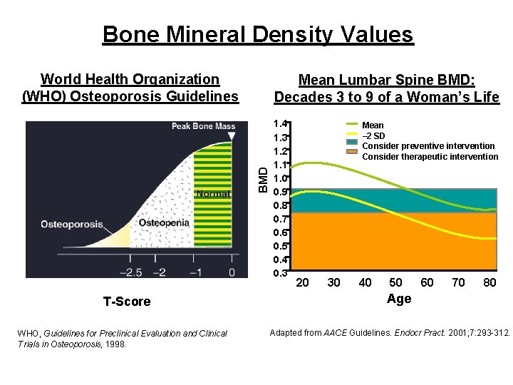 Bone Mineral Density Values World Health Organization (WHO) Osteoporosis Guidelines BMD Mean Lumbar Spine