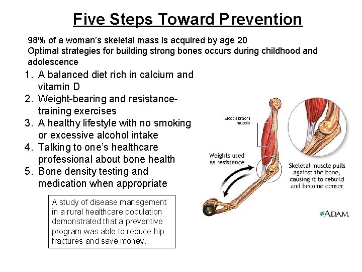 Five Steps Toward Prevention 98% of a woman’s skeletal mass is acquired by age