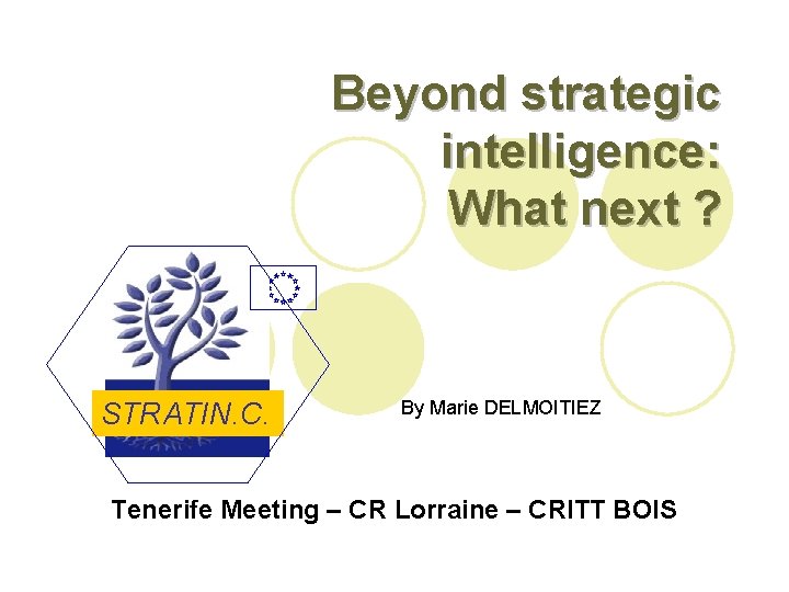 Beyond strategic intelligence: What next ? STRATIN. C. By Marie DELMOITIEZ Tenerife Meeting –