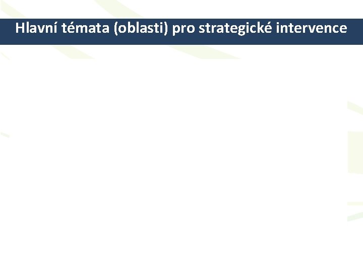 Hlavní témata (oblasti) pro strategické intervence Festival vzdělávání LABYRINT 18. - 19. 9. 2008,