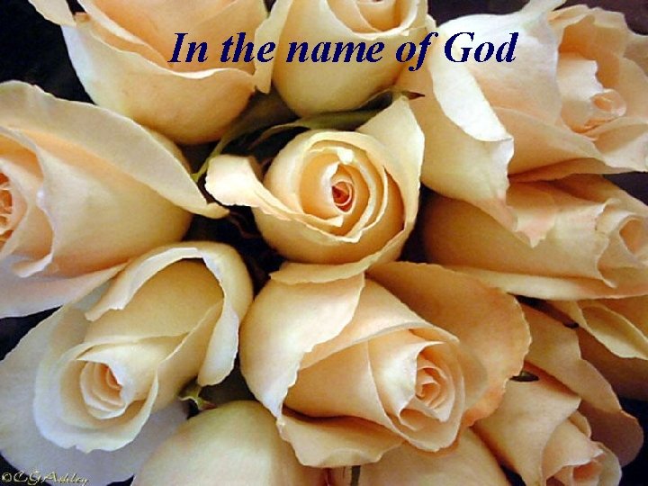 In the name of God 